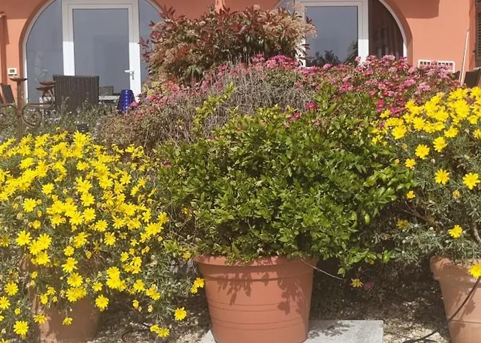 Agriturismo La Tuffatrice