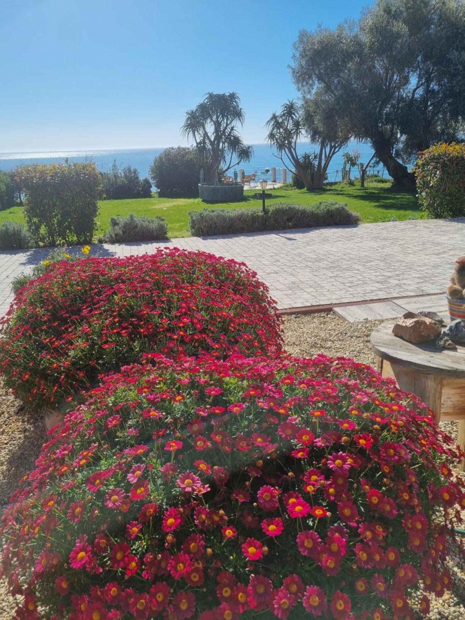 La Tuffatrice Farm stay