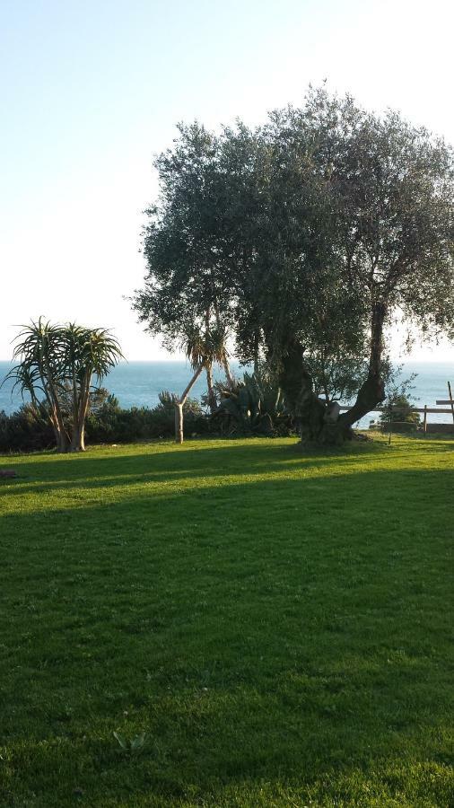 La Tuffatrice Farm stay *