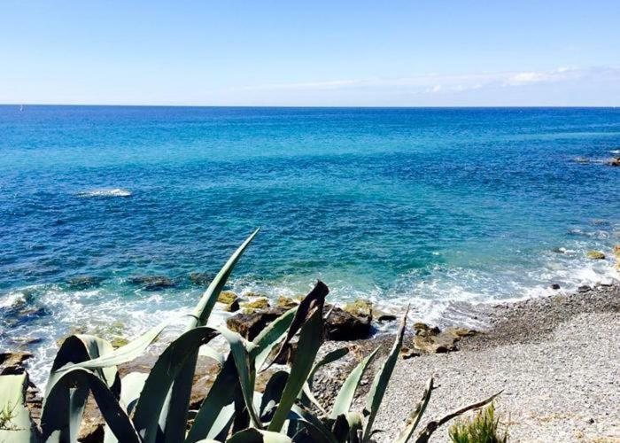 La Tuffatrice Farm stay Imperia